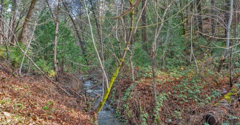 15-acres Old Vineyard, Placerville, CA 95667 Photo