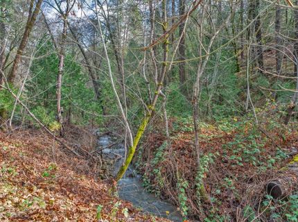 15-acres Old Vineyard, Placerville, CA 95667 Photo