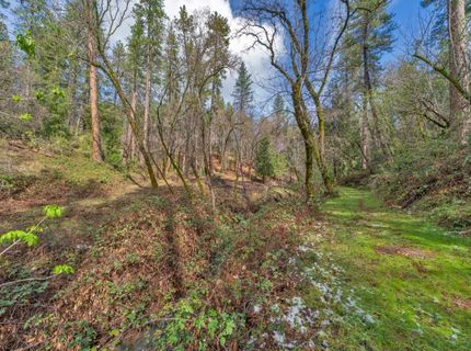 15-acres Old Vineyard, Placerville, CA 95667 Photo