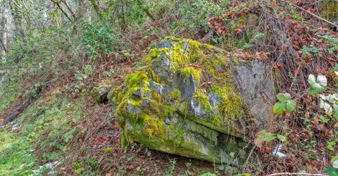 15-acres Old Vineyard, Placerville, CA 95667 Photo