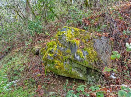 15-acres Old Vineyard, Placerville, CA 95667 Photo