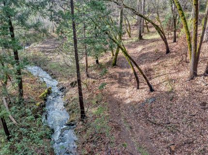 15-acres Old Vineyard, Placerville, CA 95667 Photo