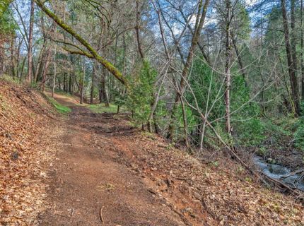 15-acres Old Vineyard, Placerville, CA 95667 Photo