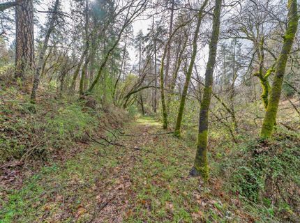 15-acres Old Vineyard, Placerville, CA 95667 Photo