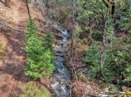 15-acres Old Vineyard, Placerville, CA 95667 Photo