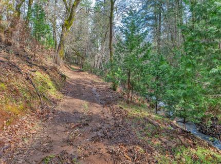 15-acres Old Vineyard, Placerville, CA 95667 Photo