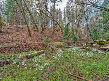 15-acres Old Vineyard, Placerville, CA 95667 Photo