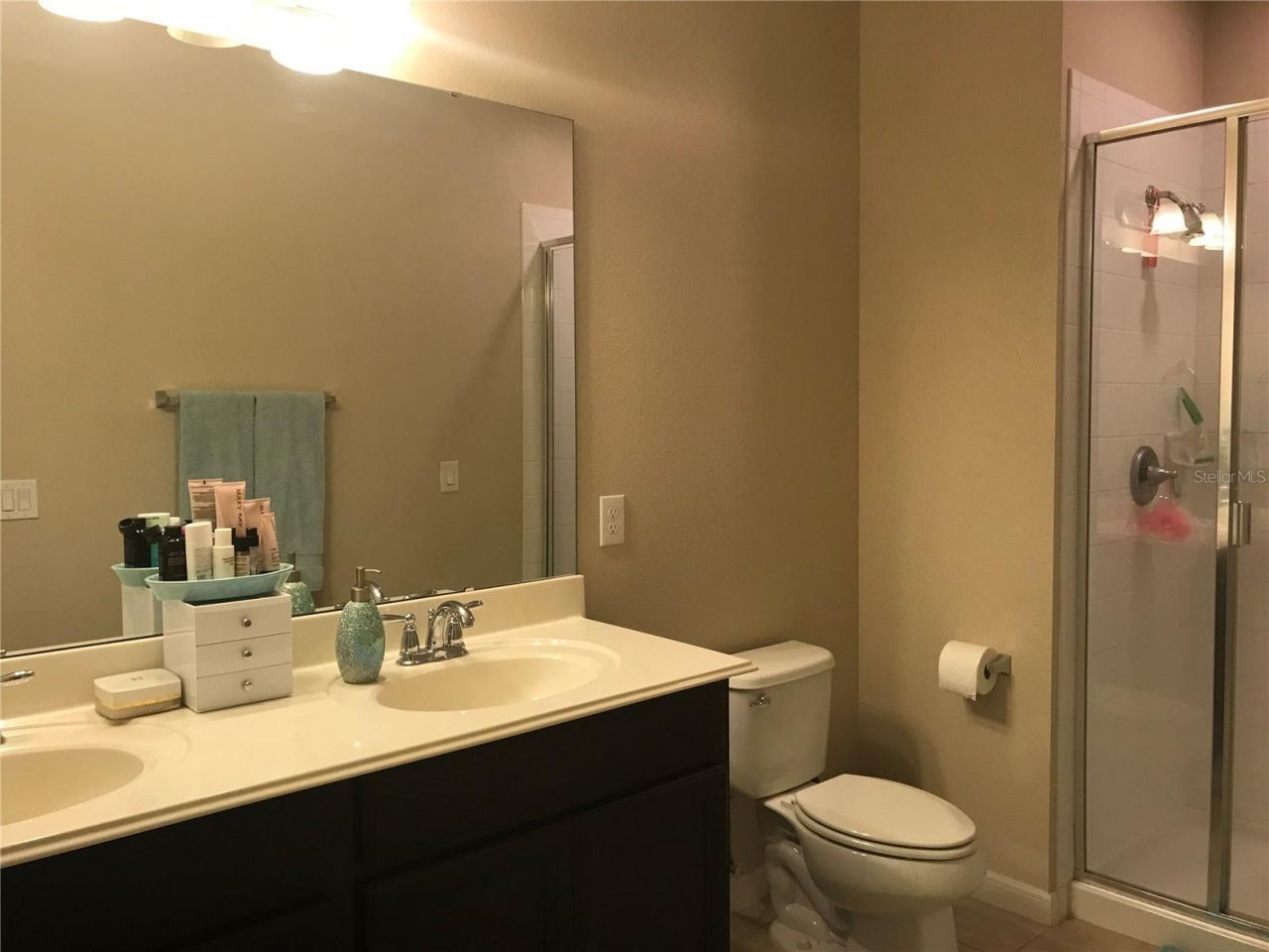 12210 Langstaff Drive , Windermere, FL 34786 Photo