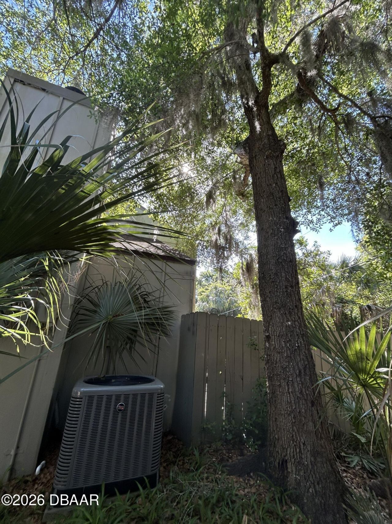 223 Pine Cone Trail, Ormond Beach, FL 32174 Photo