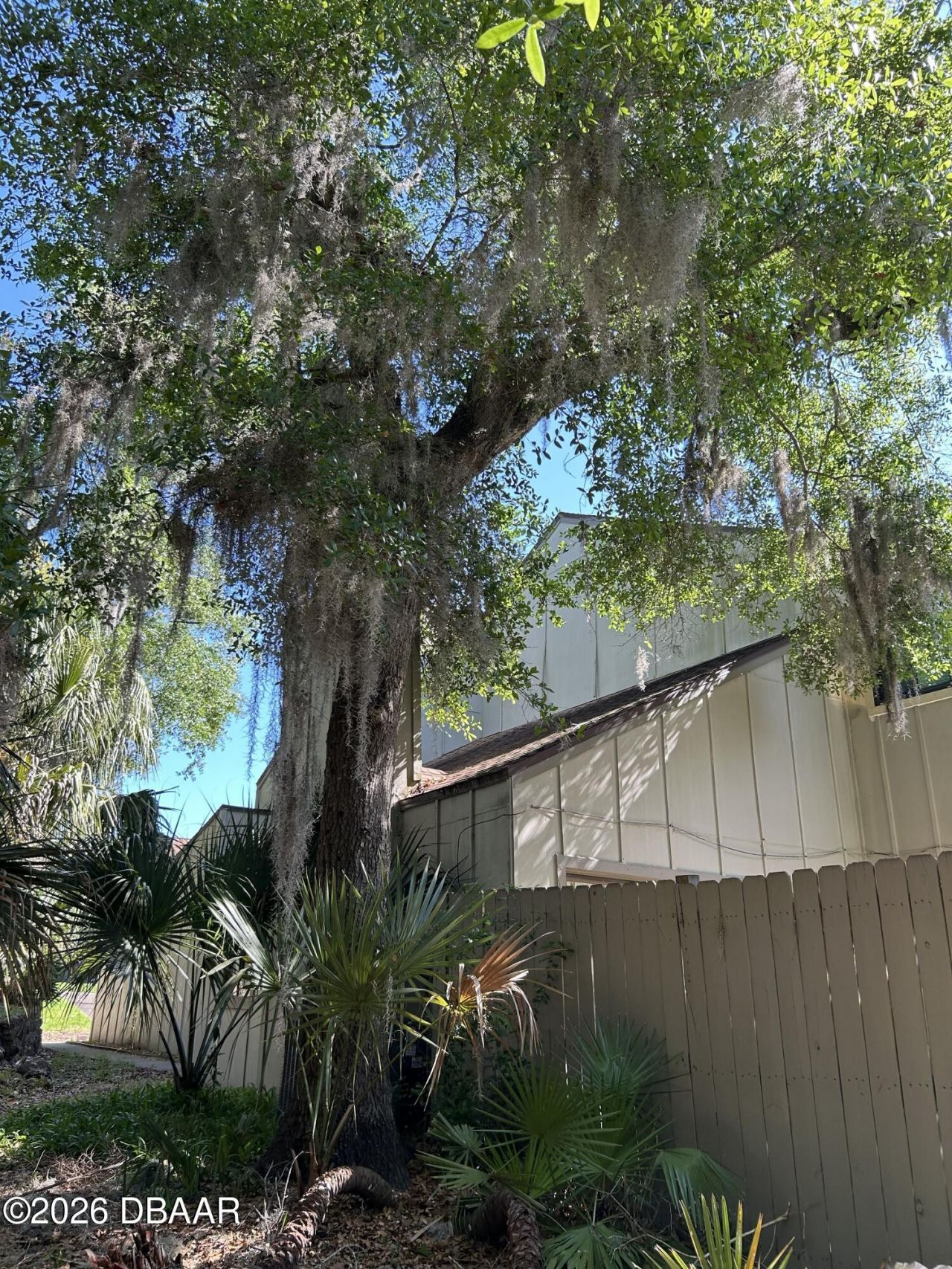 223 Pine Cone Trail, Ormond Beach, FL 32174 Photo