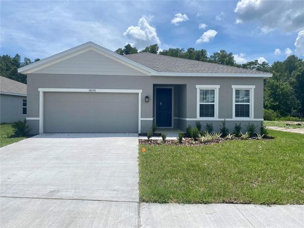 18236 HUNTERS MEADOW WALK , LAND O LAKES, FL 34638