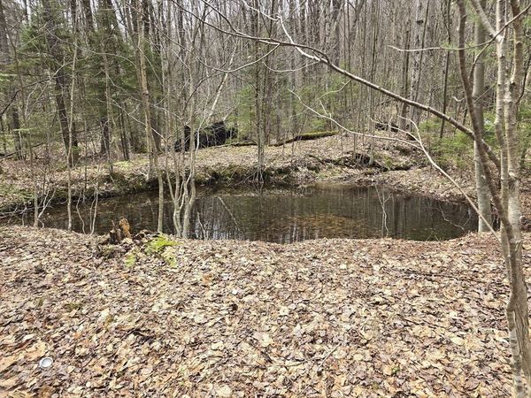 0 Magee Rd, Stamford, VT 05352