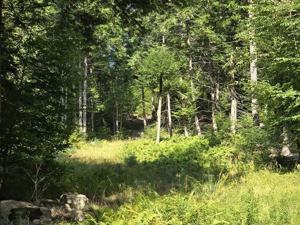 0 Magee Rd, Stamford, VT 05352