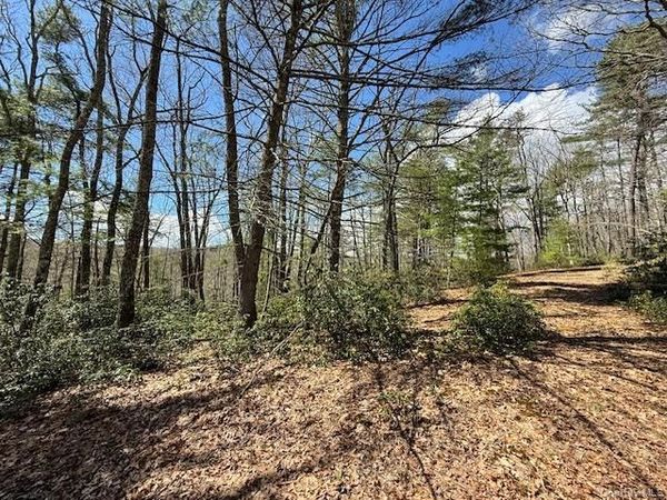 Lot 73.9 Pine Road , Glen Spey, NY 12737