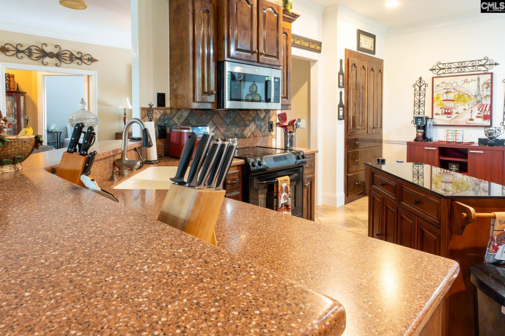 244 Long Iron Ct  Photo 16