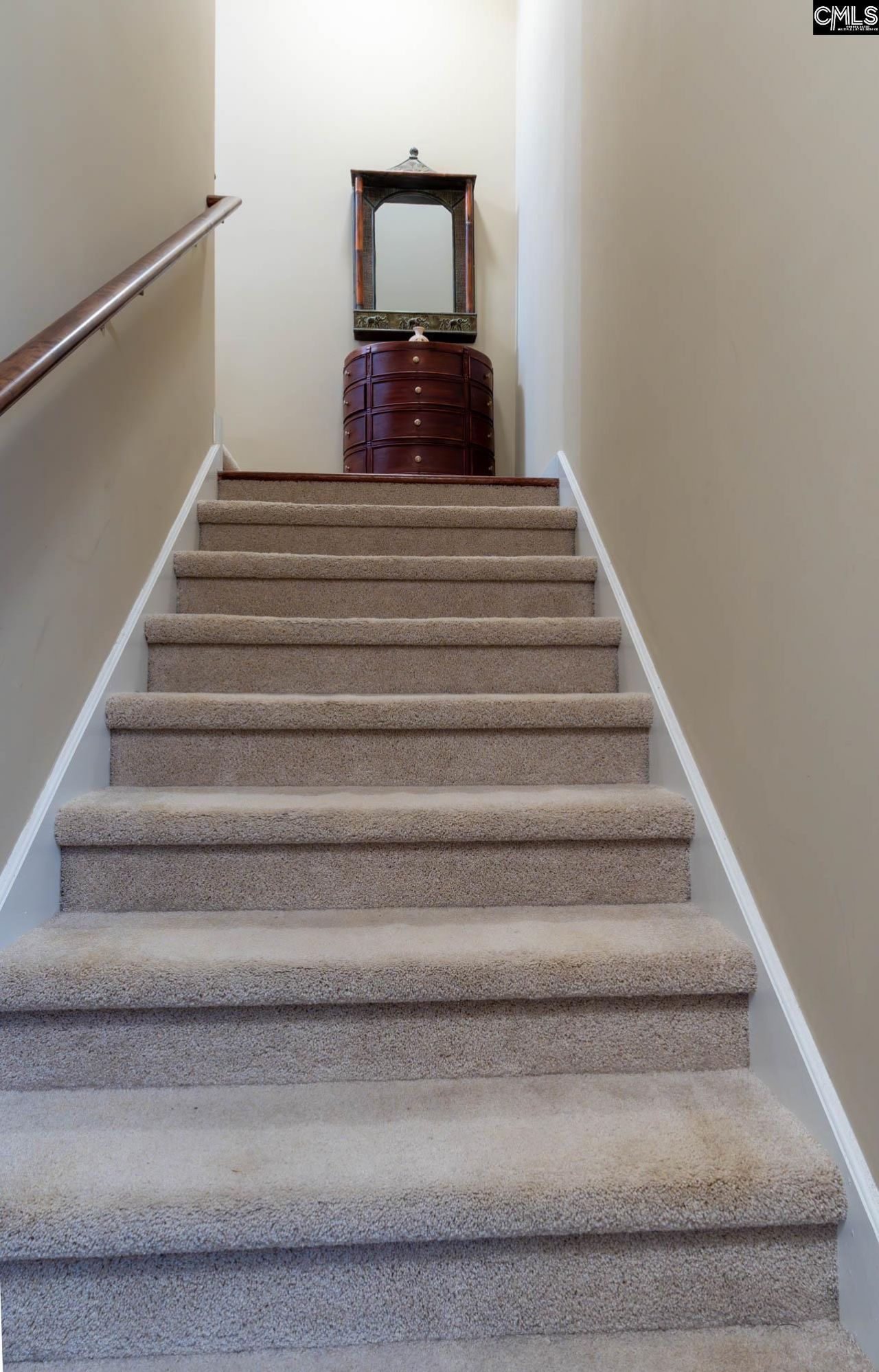 244 Long Iron Ct  Photo 19