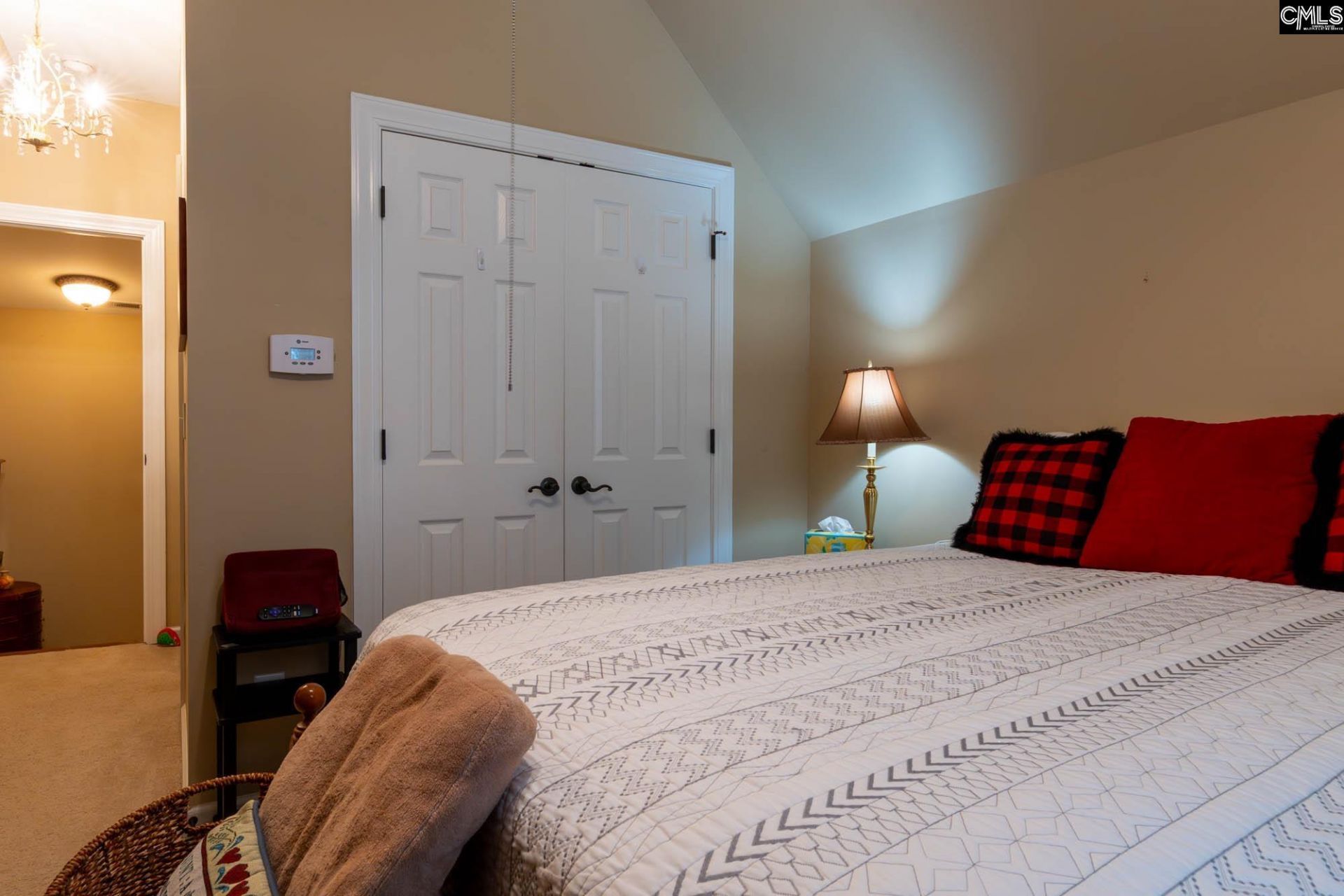 244 Long Iron Ct  Photo 22