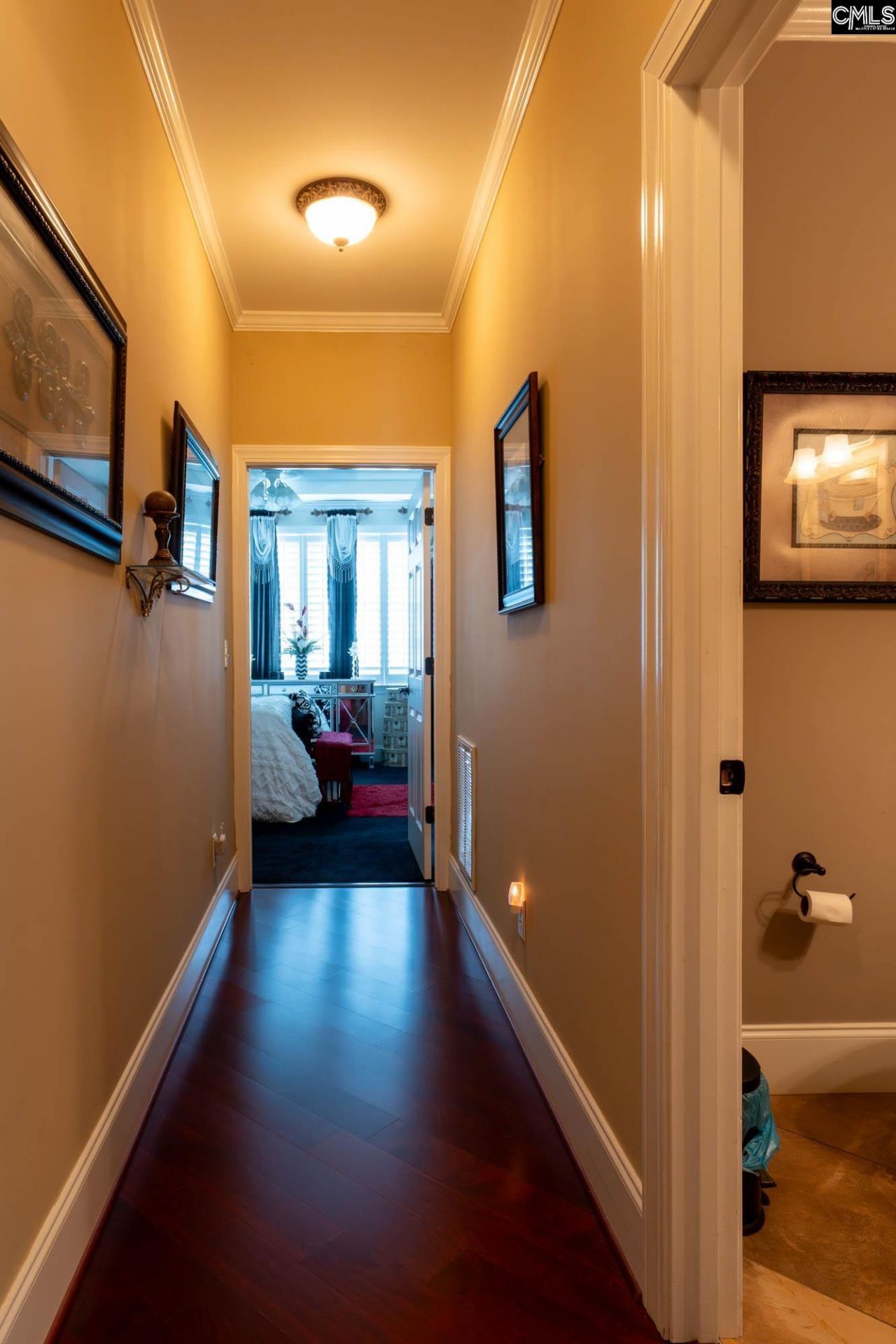 244 Long Iron Ct  Photo 30