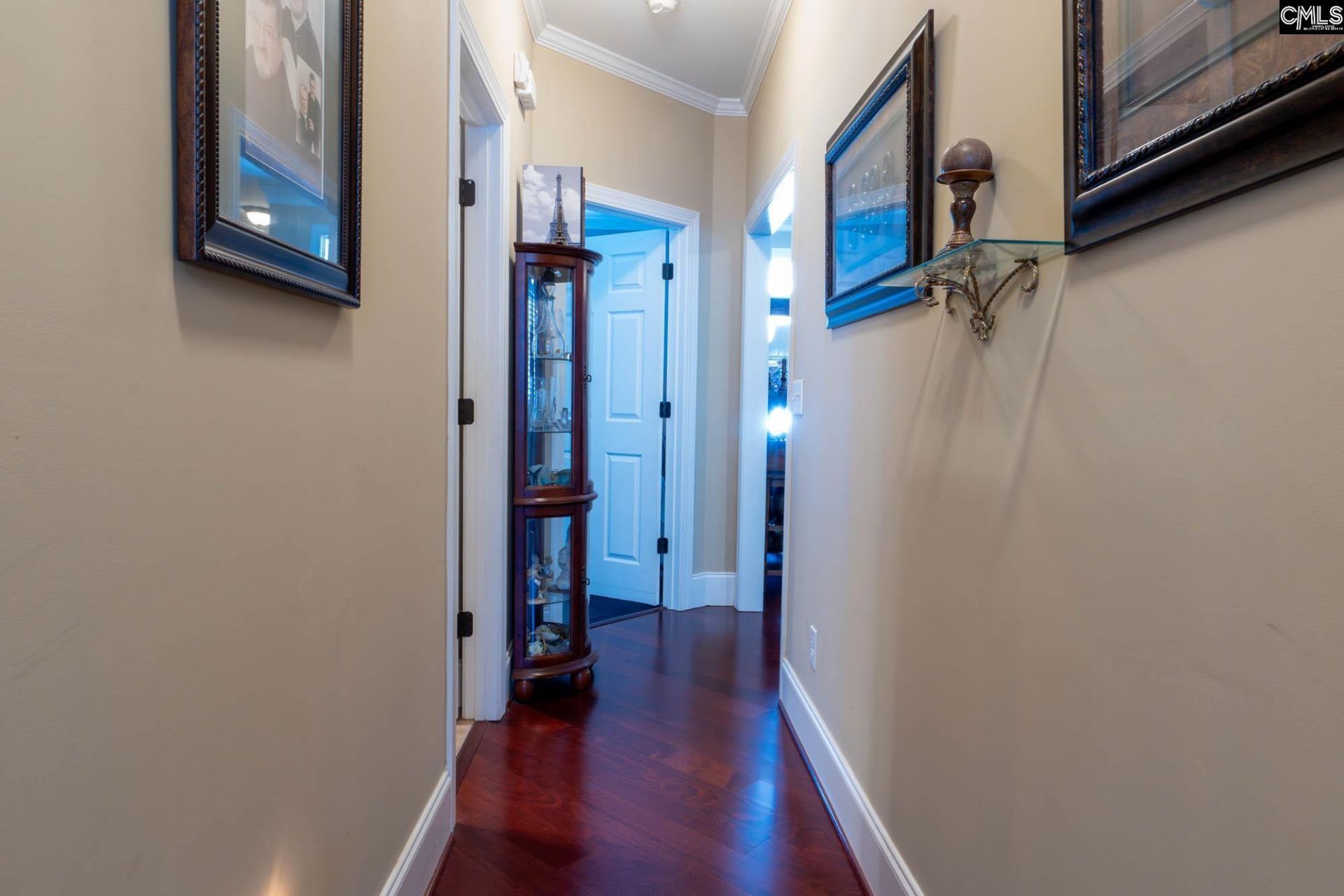 244 Long Iron Ct  Photo 31