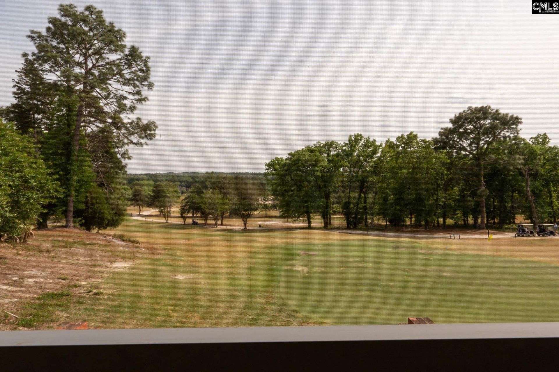 244 Long Iron Ct  Photo 41