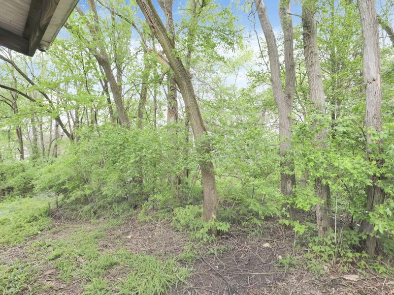 437 Warwick Avenue , Zanesville, OH 43701 Photo 30