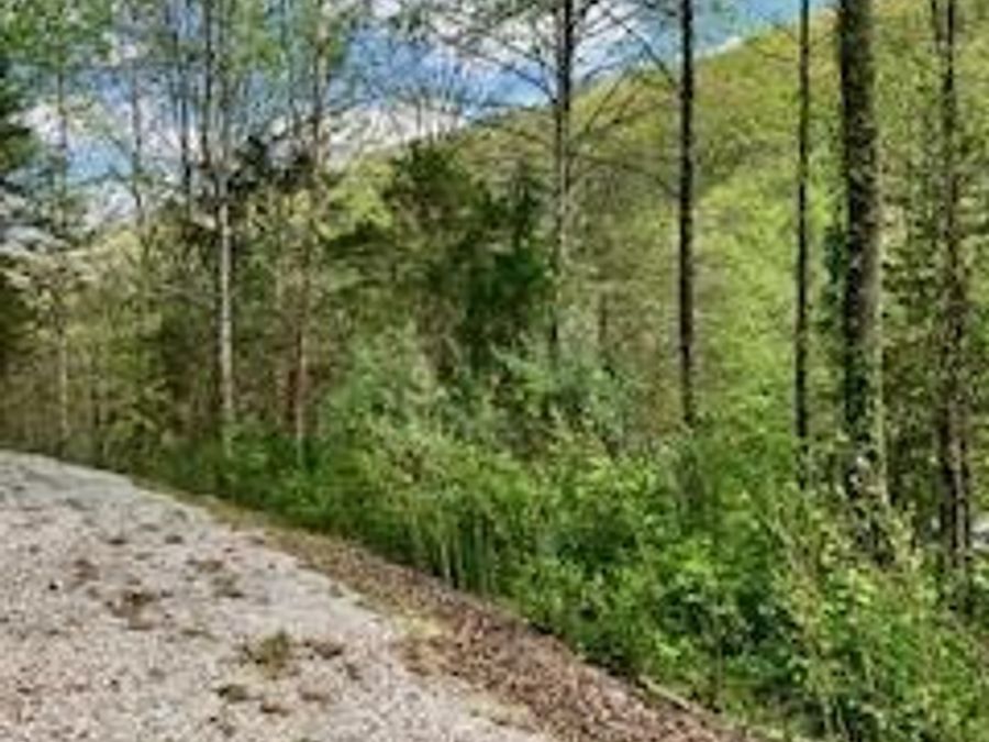 Property Image 28