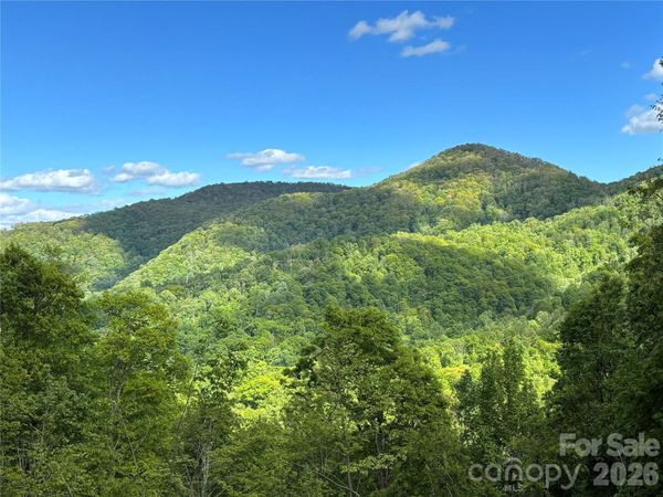 (West Lot) Meadow Fork Road, Hot Springs, NC 28743
