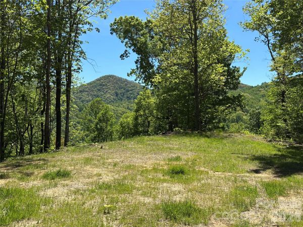 (West Lot) Meadow Fork Road, Hot Springs, NC 28743