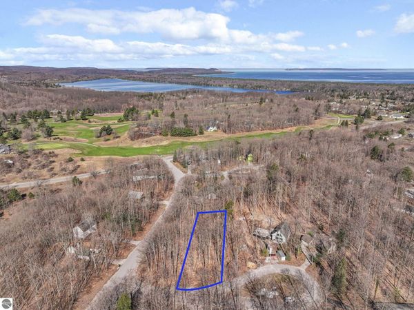 10 Linden Court, Cedar, MI 49621