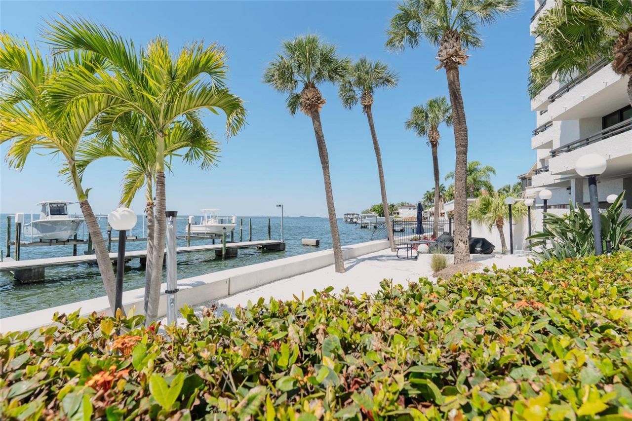 5700 Mariner Street, Unit 503A, Tampa, FL 33609 Photo