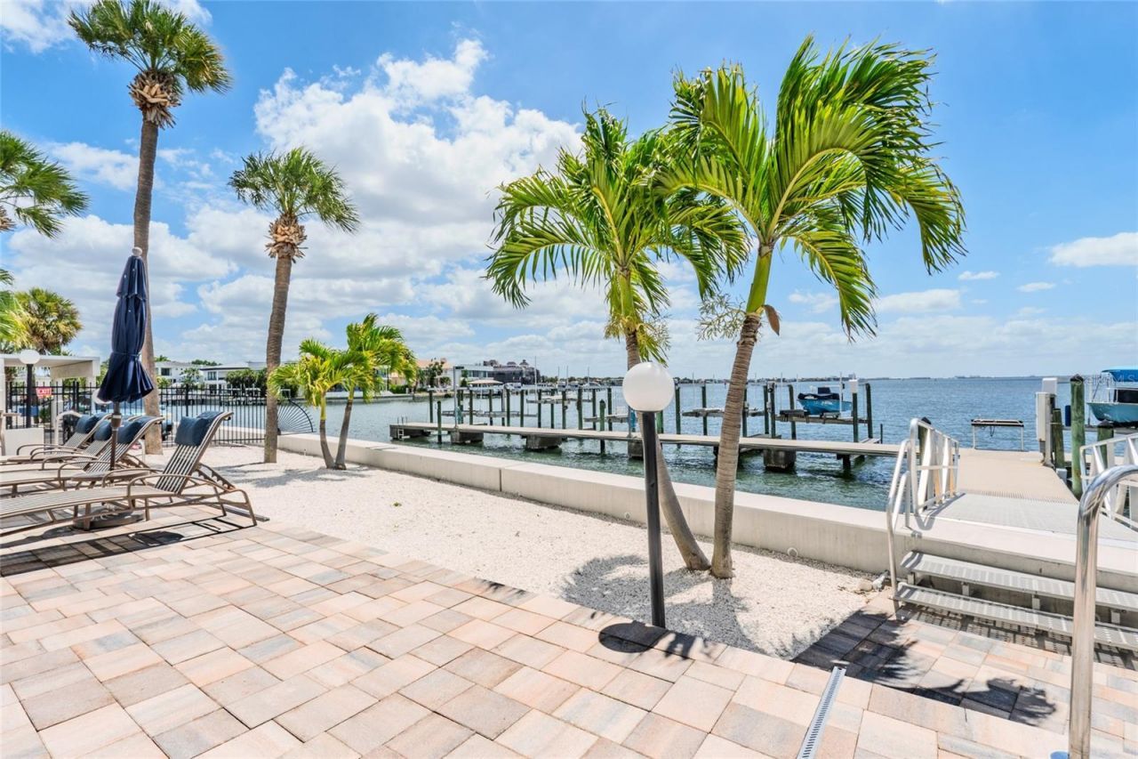 5700 Mariner Street, Unit 503A, Tampa, FL 33609 Photo