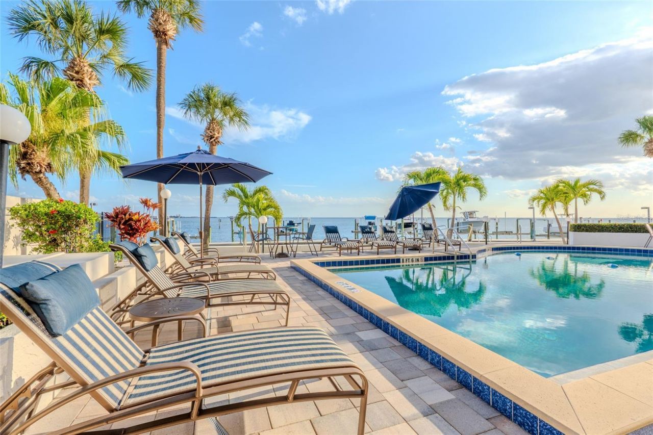 5700 Mariner Street, Unit 503A, Tampa, FL 33609 Photo