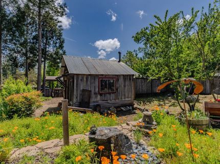 21376 Consolation, Volcano, CA 95689 Photo