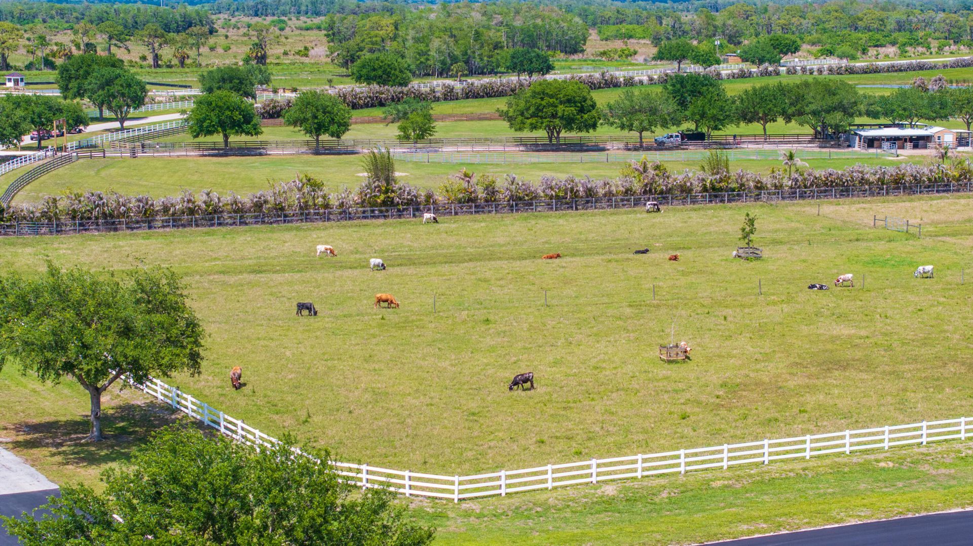 2097 SW Trailside Path, Stuart, FL 34997 Photo