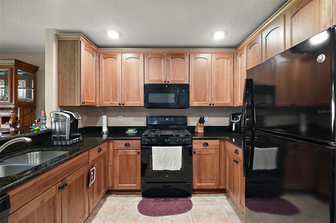 27102 Camerons Run, Leesburg, FL 34748 Photo