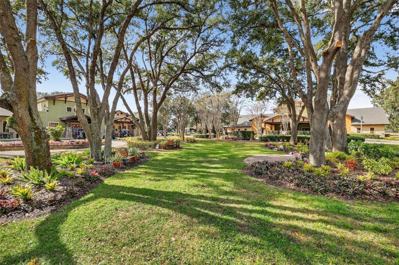 27102 Camerons Run, Leesburg, FL 34748 Photo