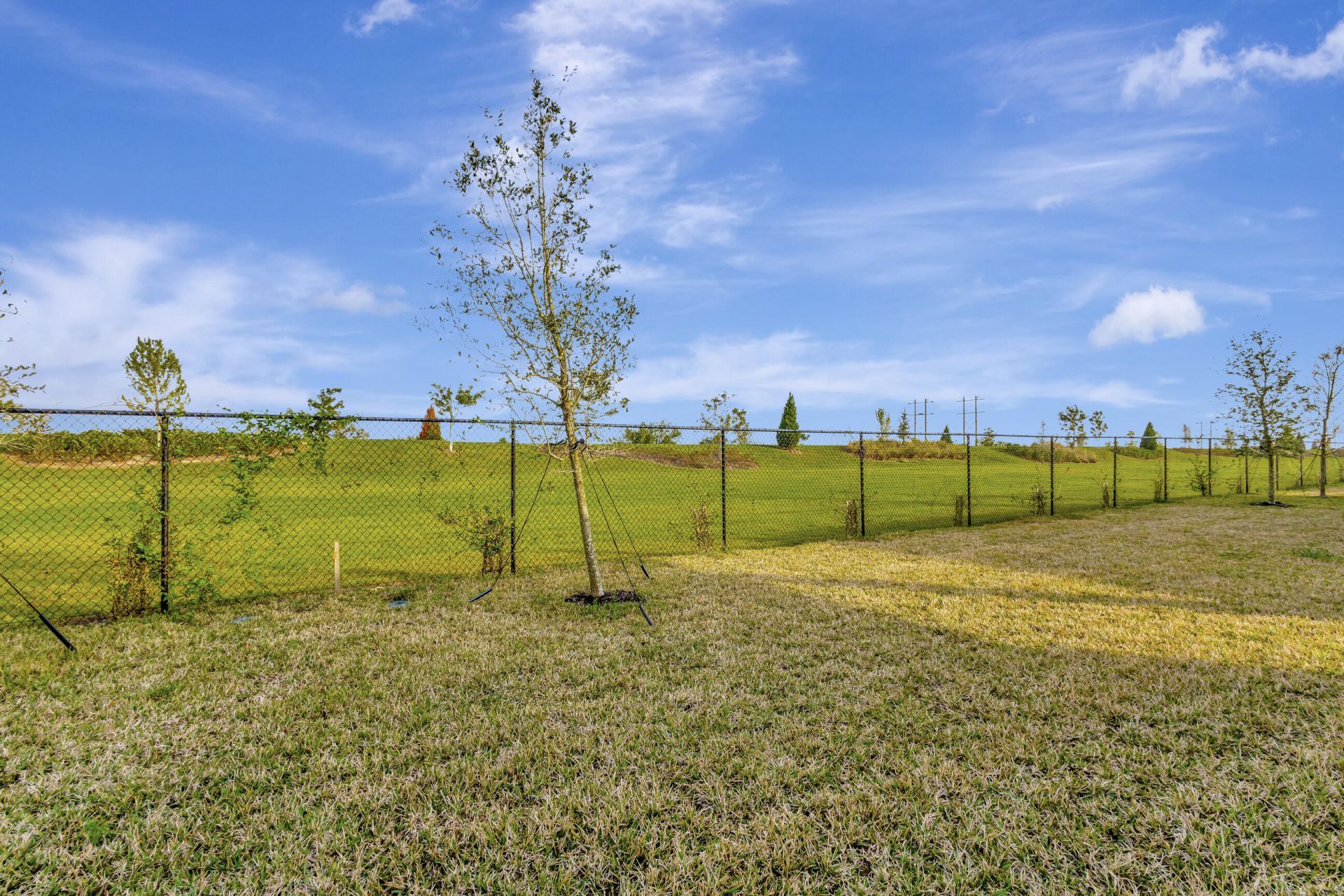 1254 Tangled Orchard Trace, The Acreage, FL 33470 Photo