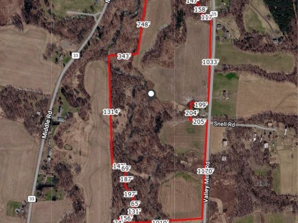 Valley Mills Road , Munnsville, NY 13409