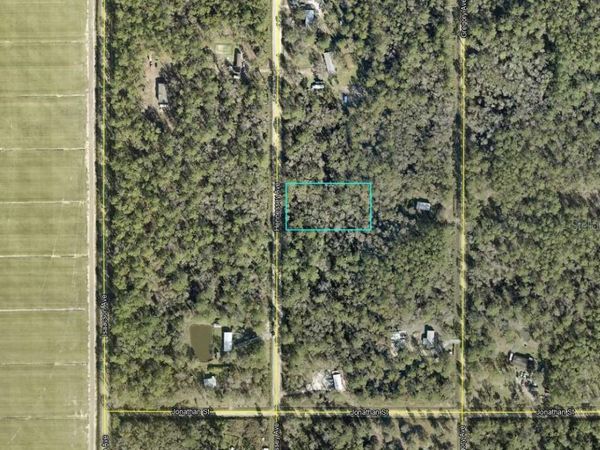 10690 HENNESSEY AVENUE , HASTINGS, FL 32145