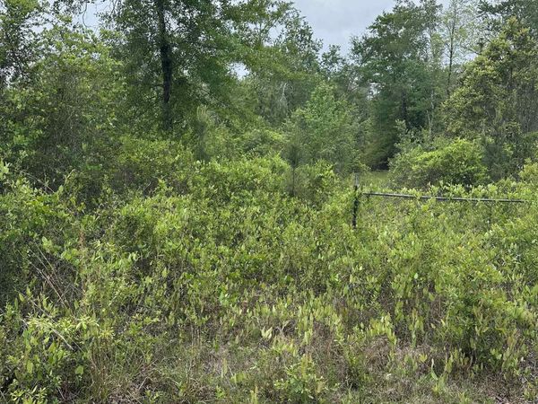 0000 Propst Road, Bay Minette, AL 36507