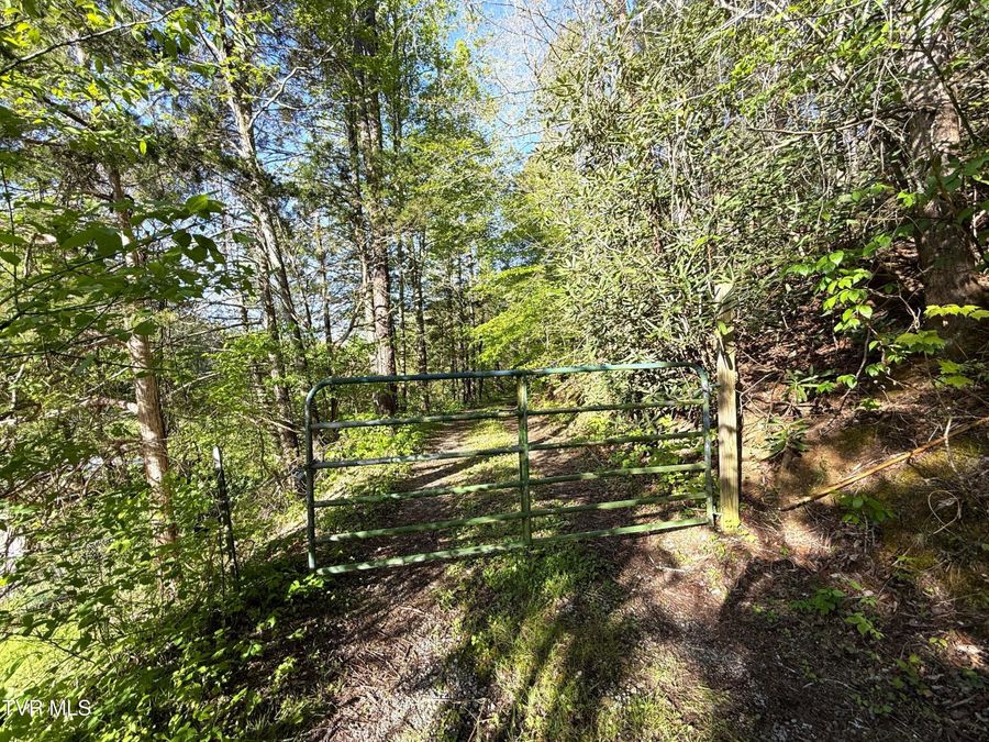 Property Image 24