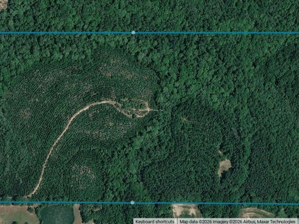 80+/-Ac Little Cedar Road, Lucedale, MS 39452