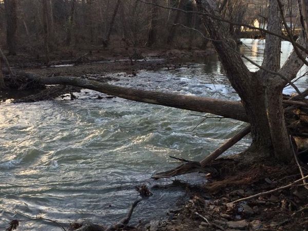 958 Pickens Chapel , Searcy, AR 72143