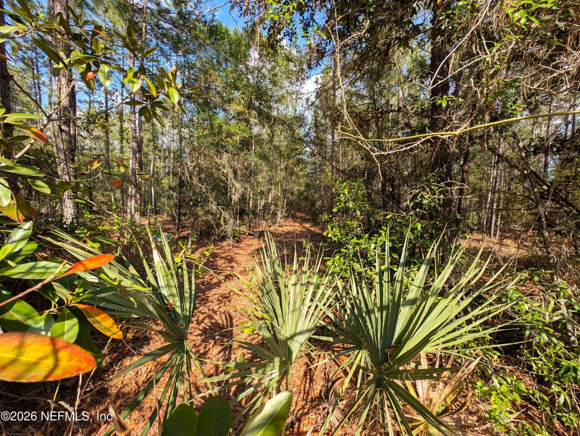 0 NE Us Hwy 301, Waldo, FL 32694 Photo