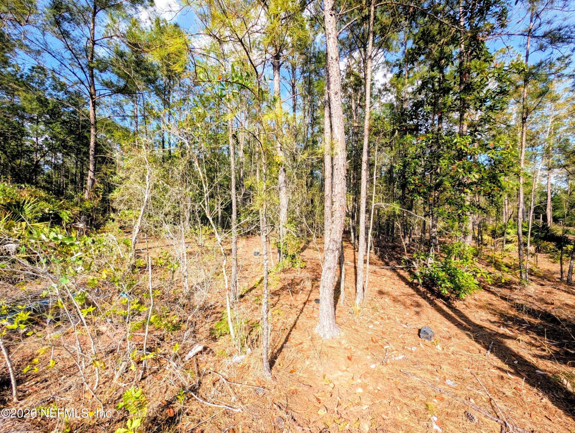 0 NE Us Hwy 301, Waldo, FL 32694 Photo
