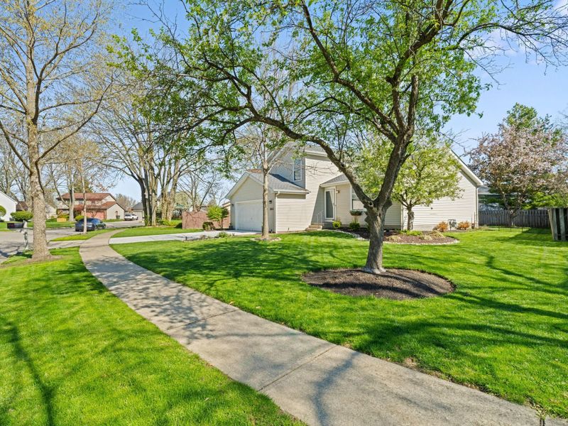 3696 Bushmill Falls, Columbus, OH 43221 Photo 46