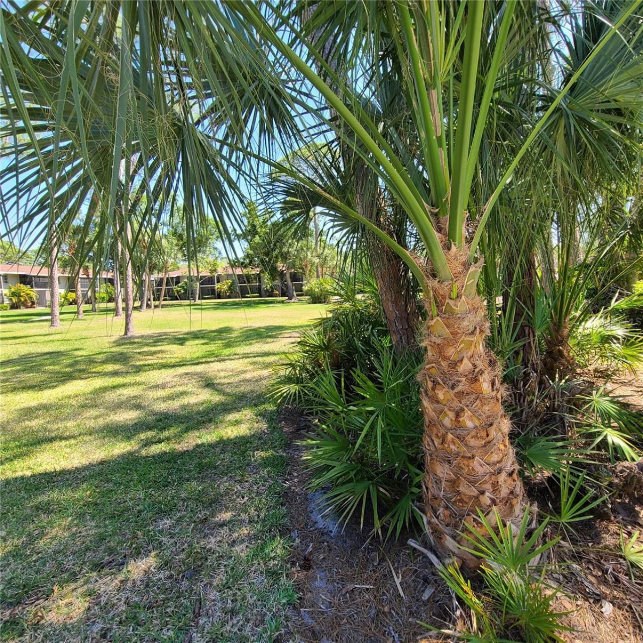 924 La Costa Circle, Unit 4, Sarasota, FL 34237 Photo