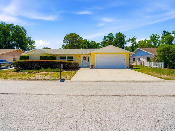 26916 MAGNOLIA BOULEVARD , LUTZ, FL 33559