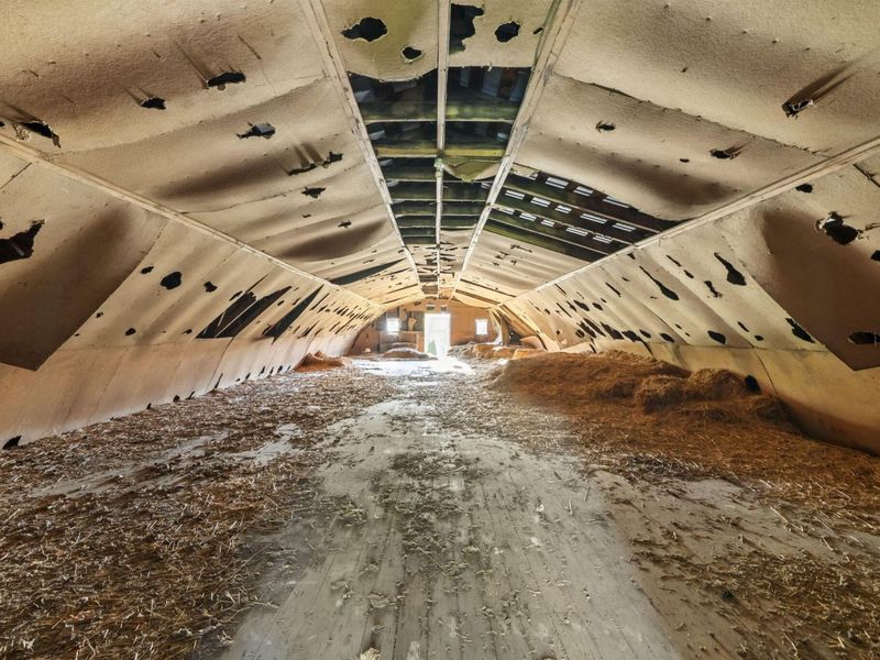 1843 Horseshoe Road, Delaware, OH 43015 Photo 76