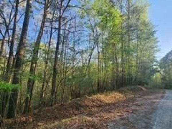 Lt3646-R Fern Drive, Ellijay, GA 30540